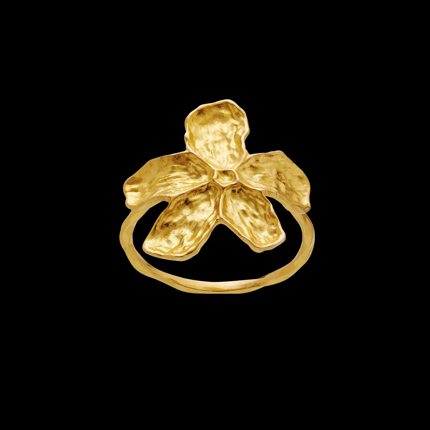 Maanesten Fraisa Ring Store