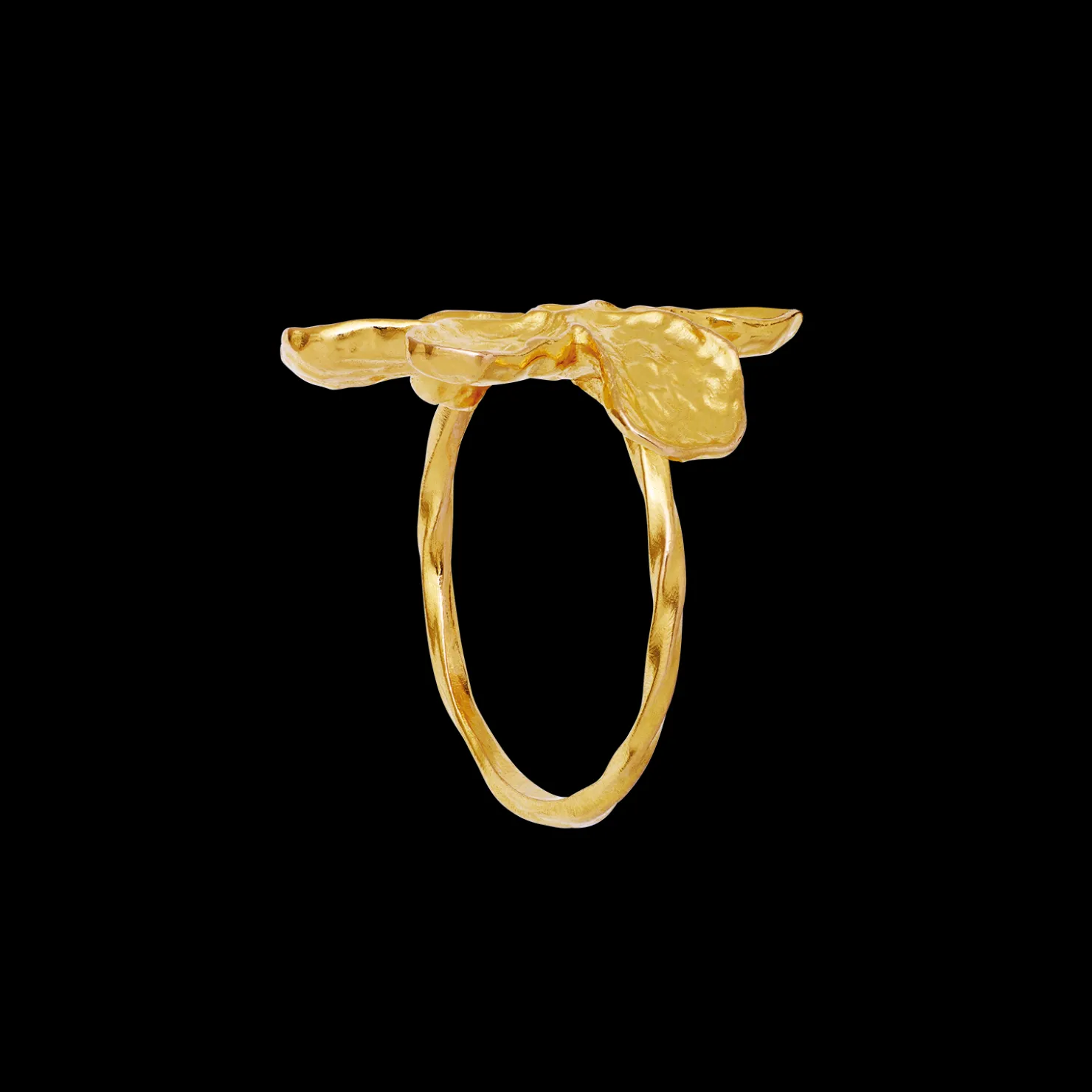 Maanesten Fraisa Ring Store