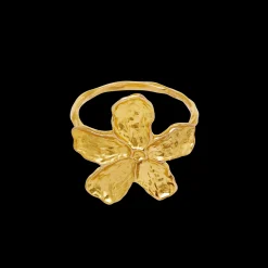 Maanesten Fraisa Ring Store