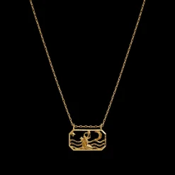 Maanesten Zodiac Aquarius Halskæde 20. Jan - 18. Feb Best Sale