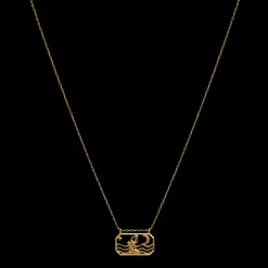 Maanesten Zodiac Aquarius Halskæde 20. Jan - 18. Feb Best Sale