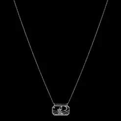 Maanesten Zodiac Aquarius Halskæde 20. Jan - 18. Feb Flash Sale